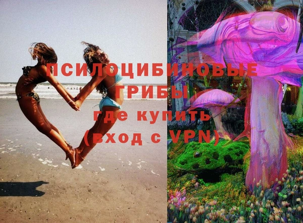 прущие грибы Елизово