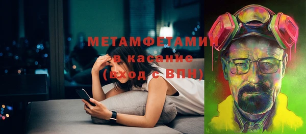 прущие грибы Елизово