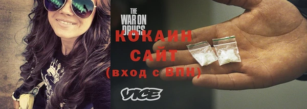 крисы Елабуга
