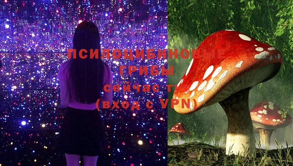 крисы Елабуга