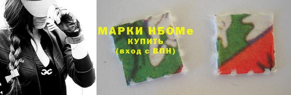 крисы Елабуга