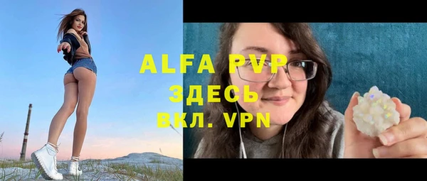 прущие грибы Елизово