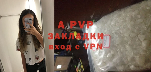 прущие грибы Елизово
