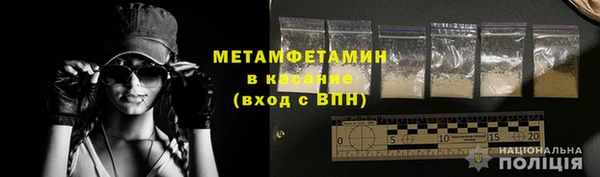 прущие грибы Елизово