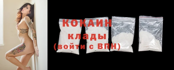 крисы Елабуга