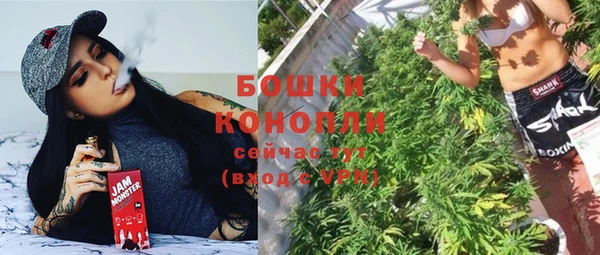 крисы Елабуга