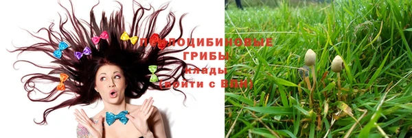 крисы Елабуга