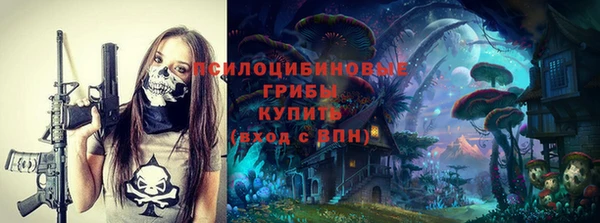 прущие грибы Елизово