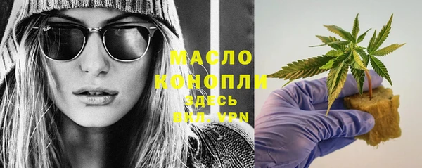 крисы Елабуга
