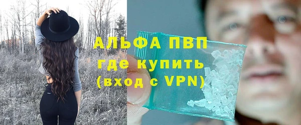 крисы Елабуга