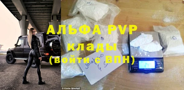 прущие грибы Елизово