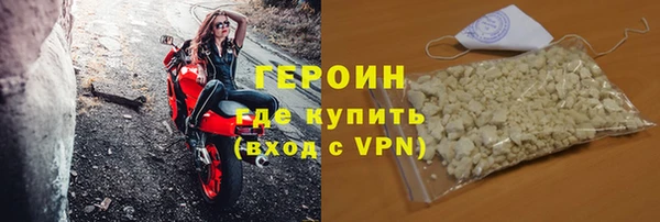 прущие грибы Елизово