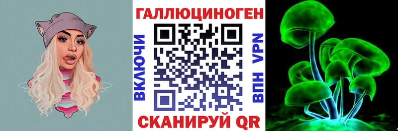 Купить где  Тара  Галлюциногенные грибы Magic Shrooms 