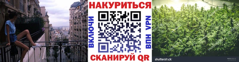 Канабис AK-47  Купить где  Тара 
